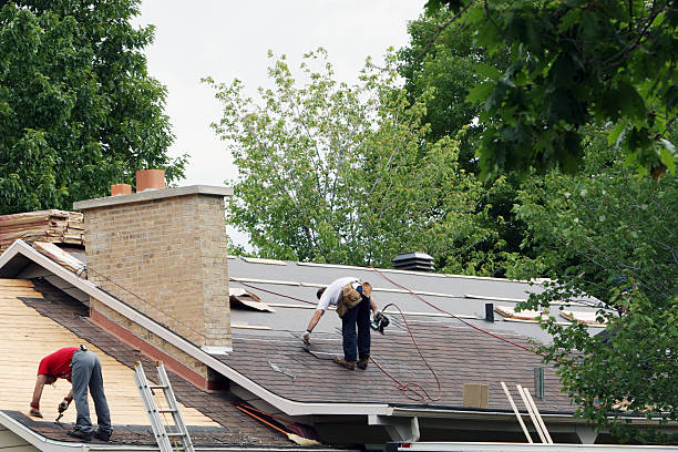 Best Roof Gutter Cleaning  in Comstock Northwest, MI