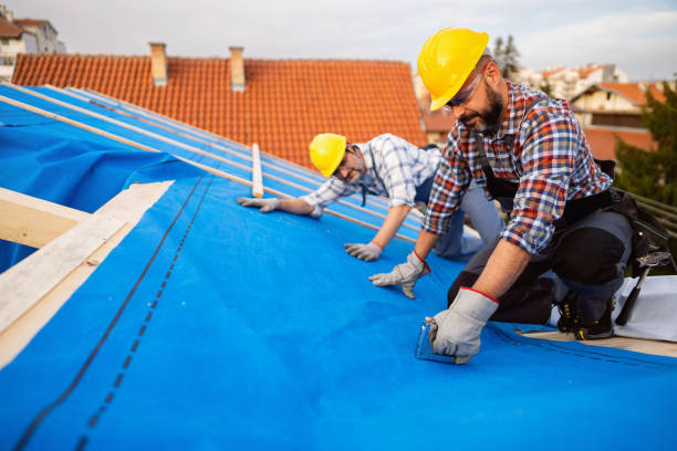 Best Metal Roofing Contractor  in Comstock Northwest, MI