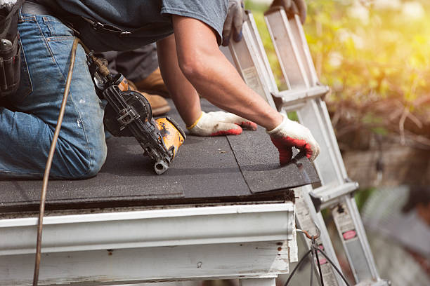 Best Roof Gutter Cleaning  in Comstock Northwest, MI